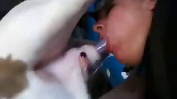 Amateur animal porn