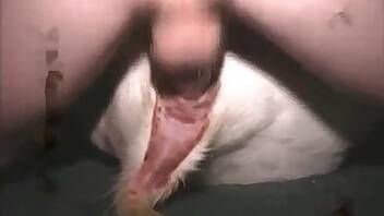 Asian animal xxx