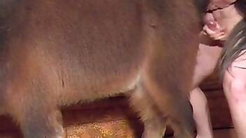 Fisting animal porn