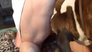 Fucking animal sex