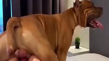 Fucking animal tube