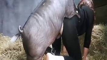 Mature animal sex