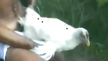 Outdoor animal porn