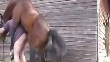 Stallion animal xxx