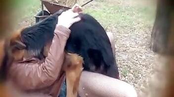 Sucking animal sex
