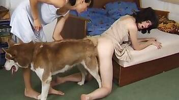 ZooAnimalPorn