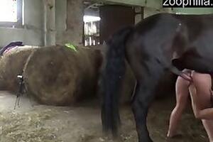 Animal Porn