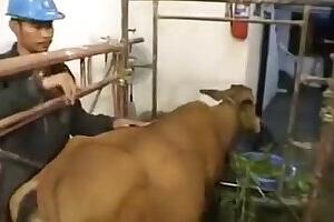 ZOO Porn video for FREE