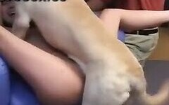 ZooAnimalPorn