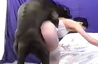 Zoo sex and animal porn videos