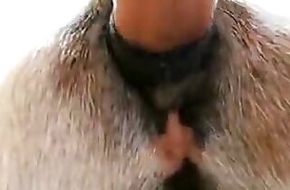 ZOO Porn video for FREE