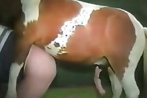 Free ZOO sex video