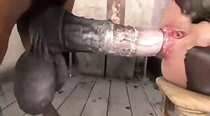 Animal Fuck XXX
