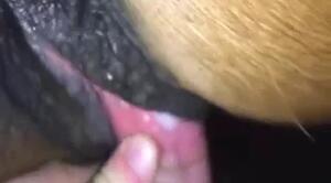 Zoo Sex Run