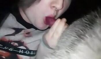 Amateur animal porn