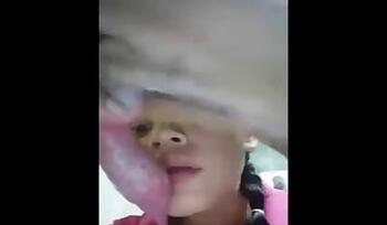 Doggy animal porn