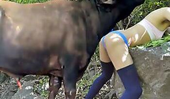 PornTubeZoo