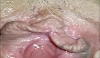 Pussy animal sex