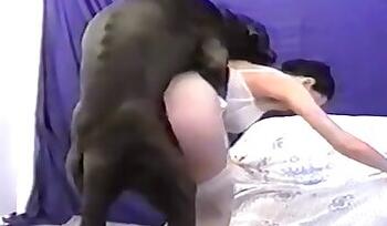 Zoo sex and animal porn videos
