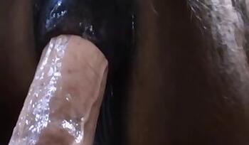 Stallion animal xxx