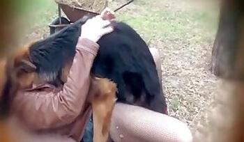 Sucking animal sex