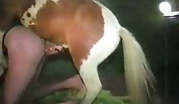 XXX Zoo Porn. Free zoo porn