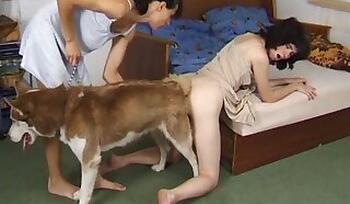 Zoo Animal Porn