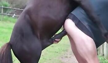 Free Zoo Porn with Dog