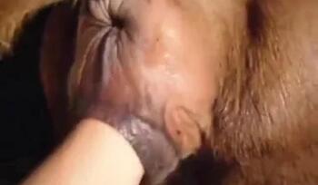 Zoo Sex Name