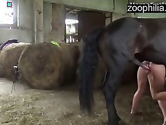 Animal Porn