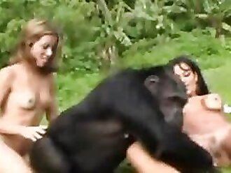 Bestiality sex porn videos