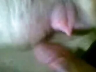 Zoo Porn Videos