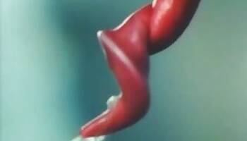3d animal sex
