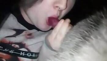 Amateur animal porn