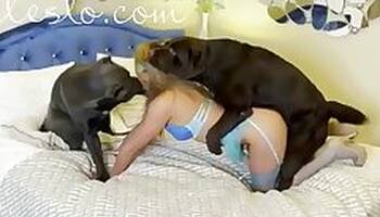 Animal fuck