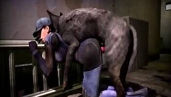 Dogs animal xxx