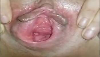 Fucking animal tube