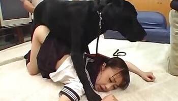 Japanese animal tube