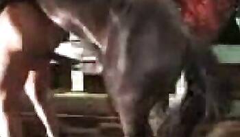 Zoo sex and animal porn videos
