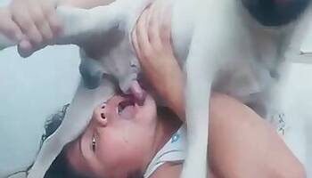 Sucking animal sex