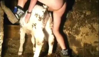 Zoo Porn Videos