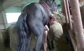 Zoo Sex Lol