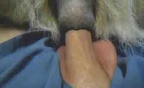 Zoo Sex Name