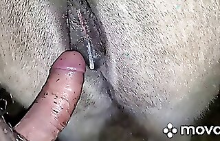 Animal porn tube