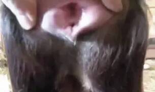 Zoo Sex Run