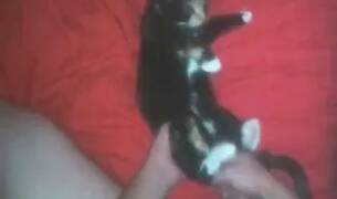 Zoo Sex Videos