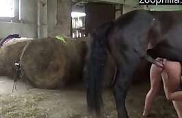 Animal Porn