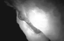 Zoo Porn Videos