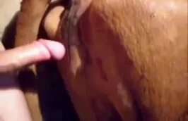 Zoo Porn Clips