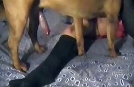 Zoo Sex